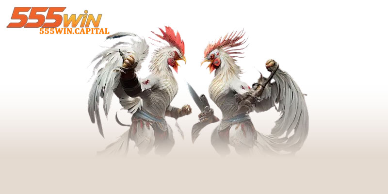 Đá Gà 555win – Sân Chơi Trực Tuyến Được Ưa Chuộng 3 Các loại hình đá gà đặc sắc ở 555win